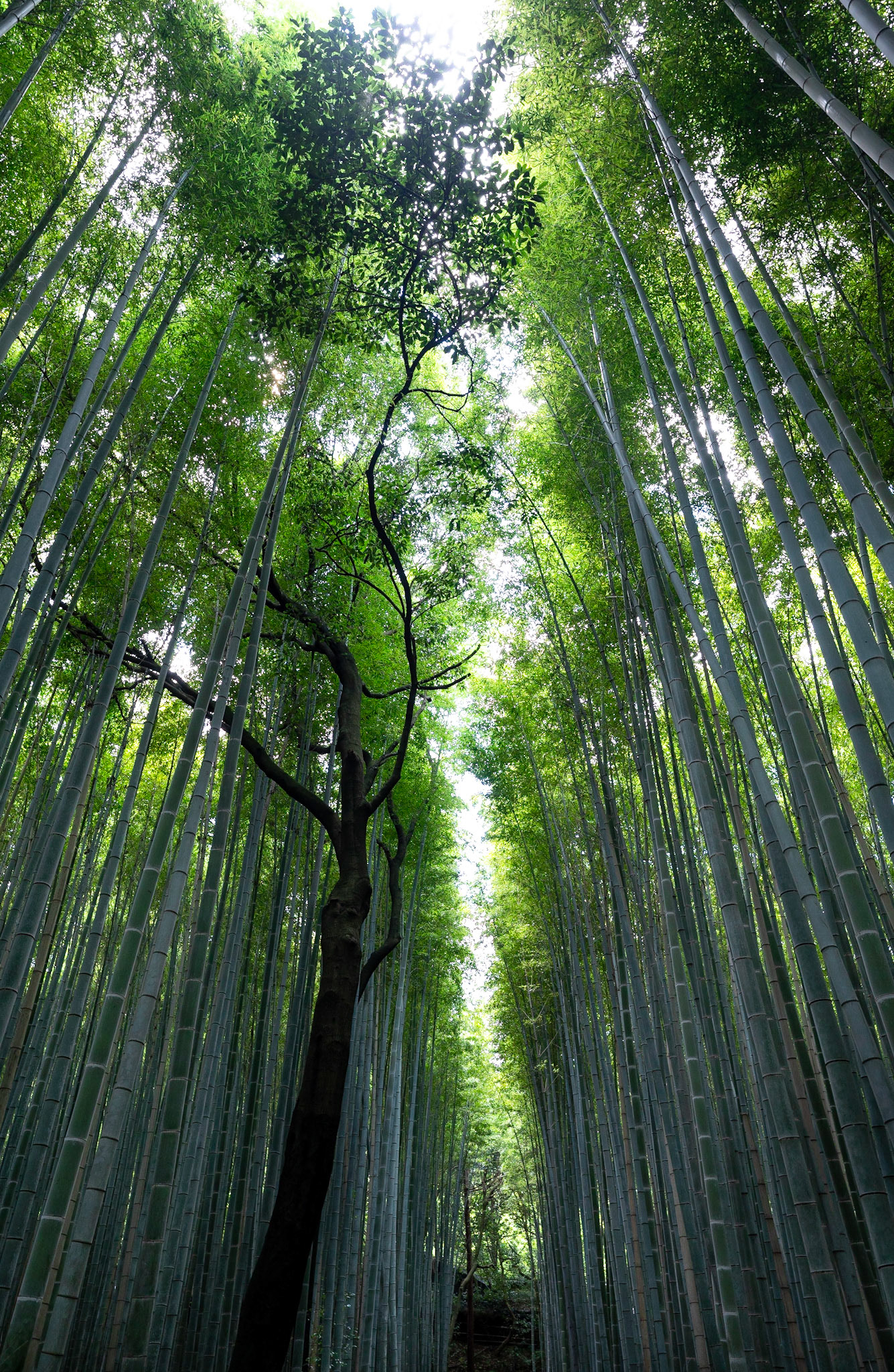 Kyoto