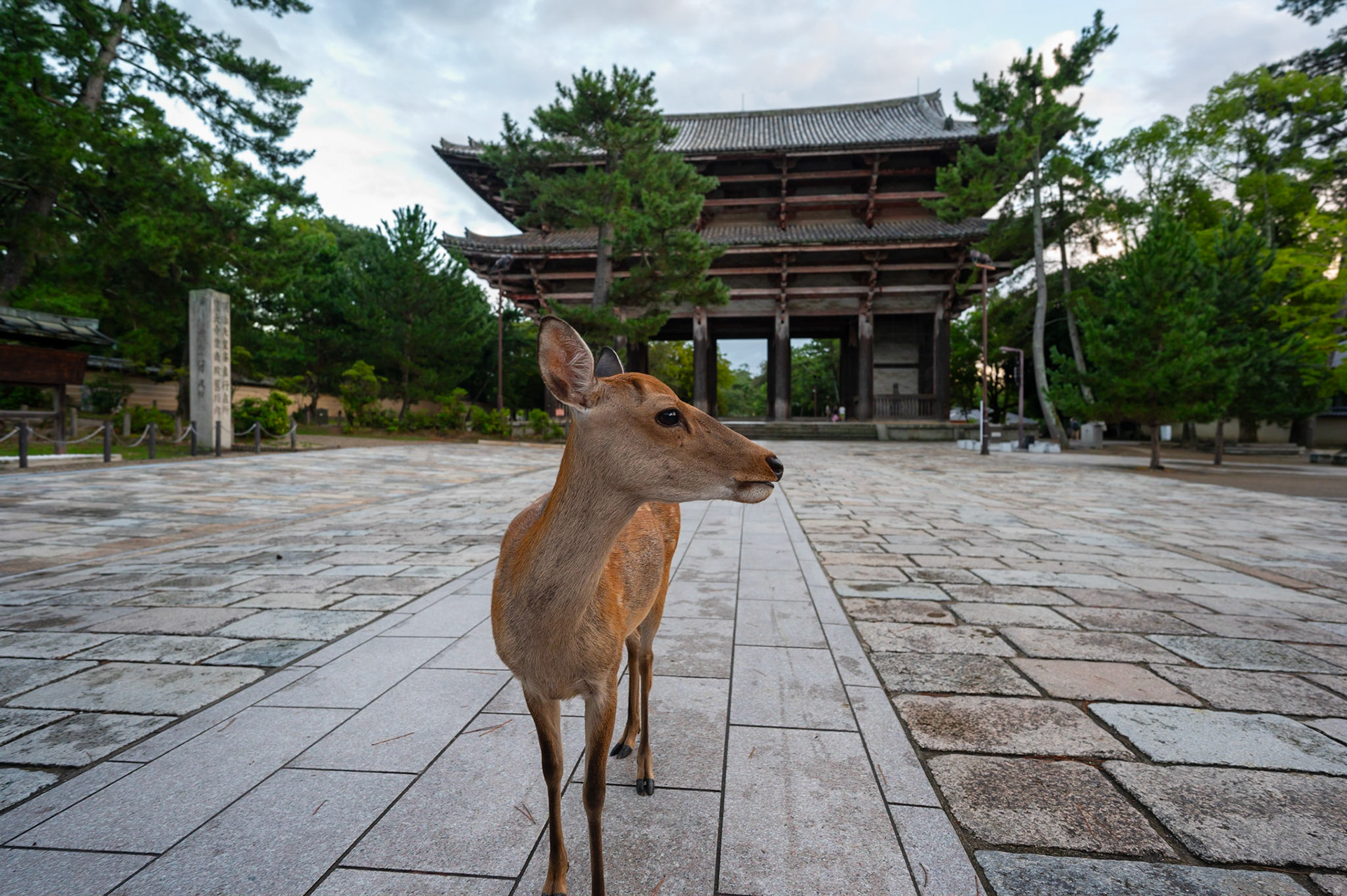 Nara