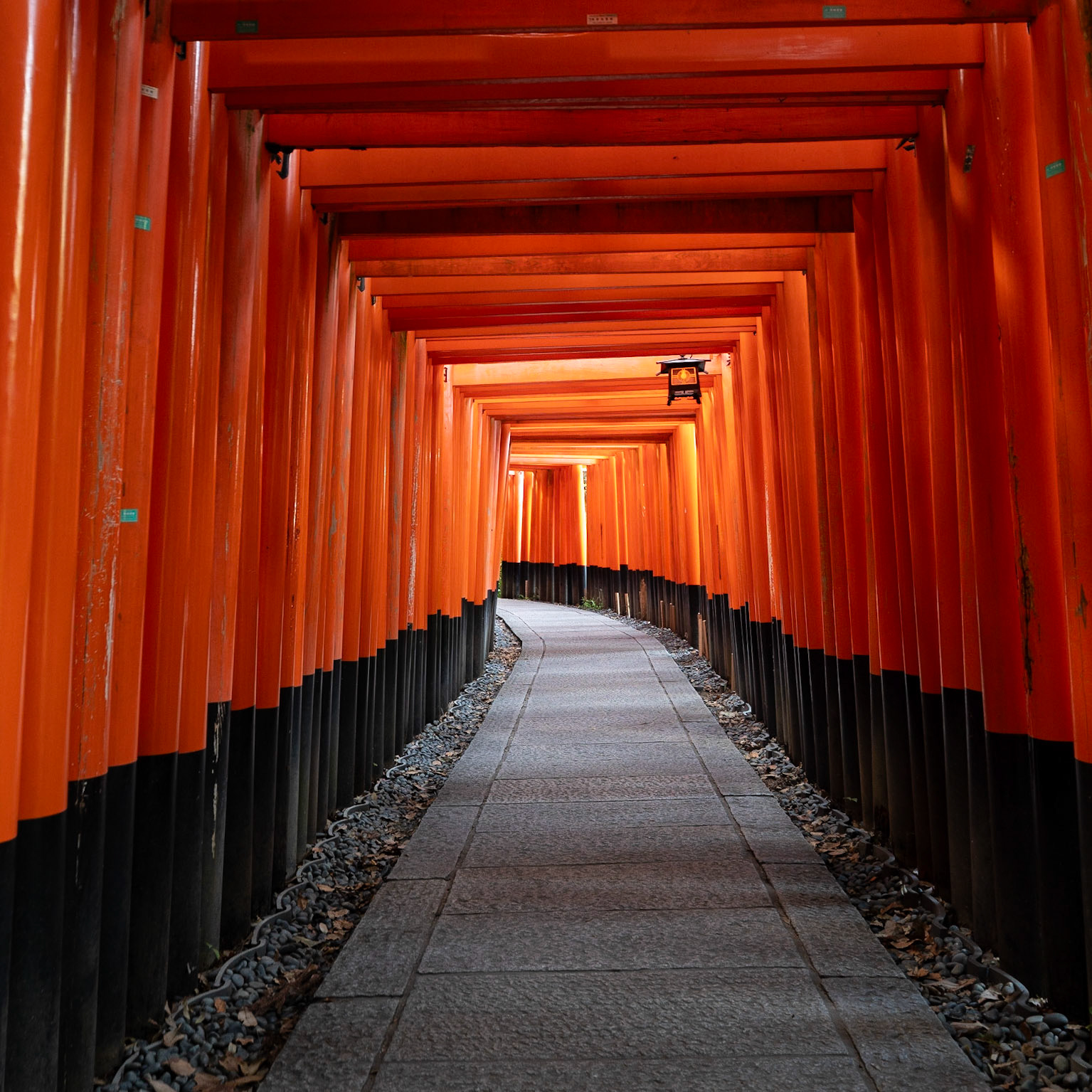 Kyoto