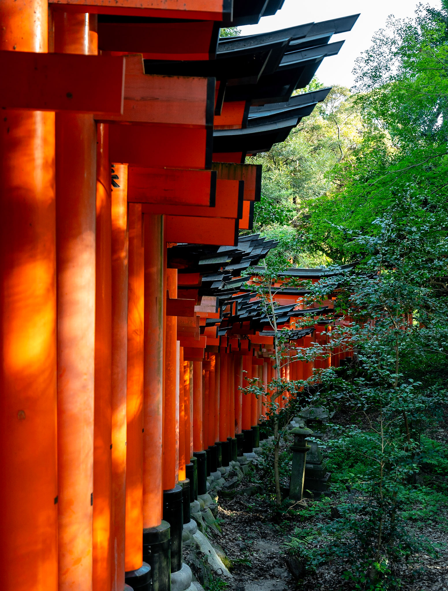 Kyoto