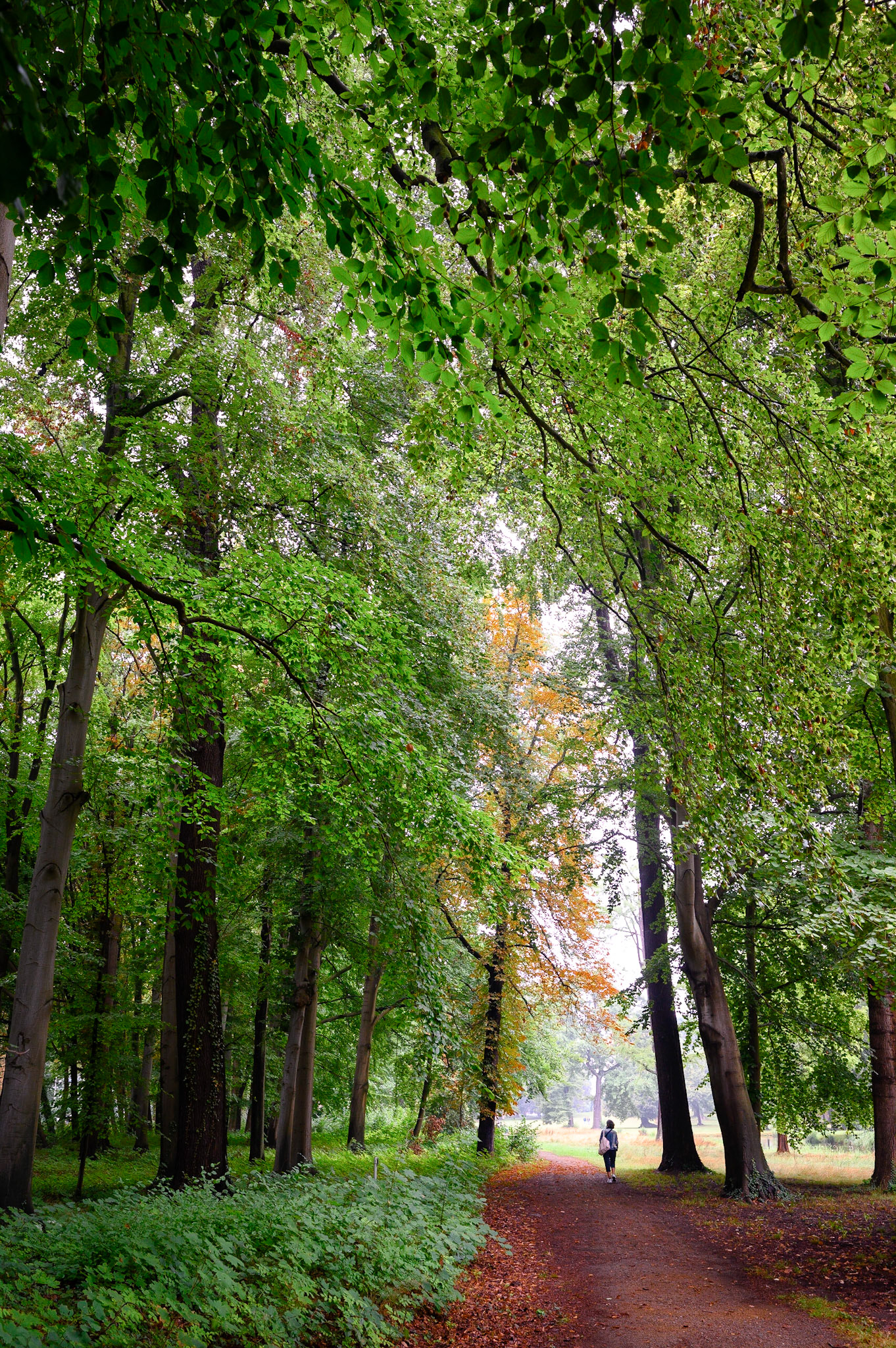 Spreewald