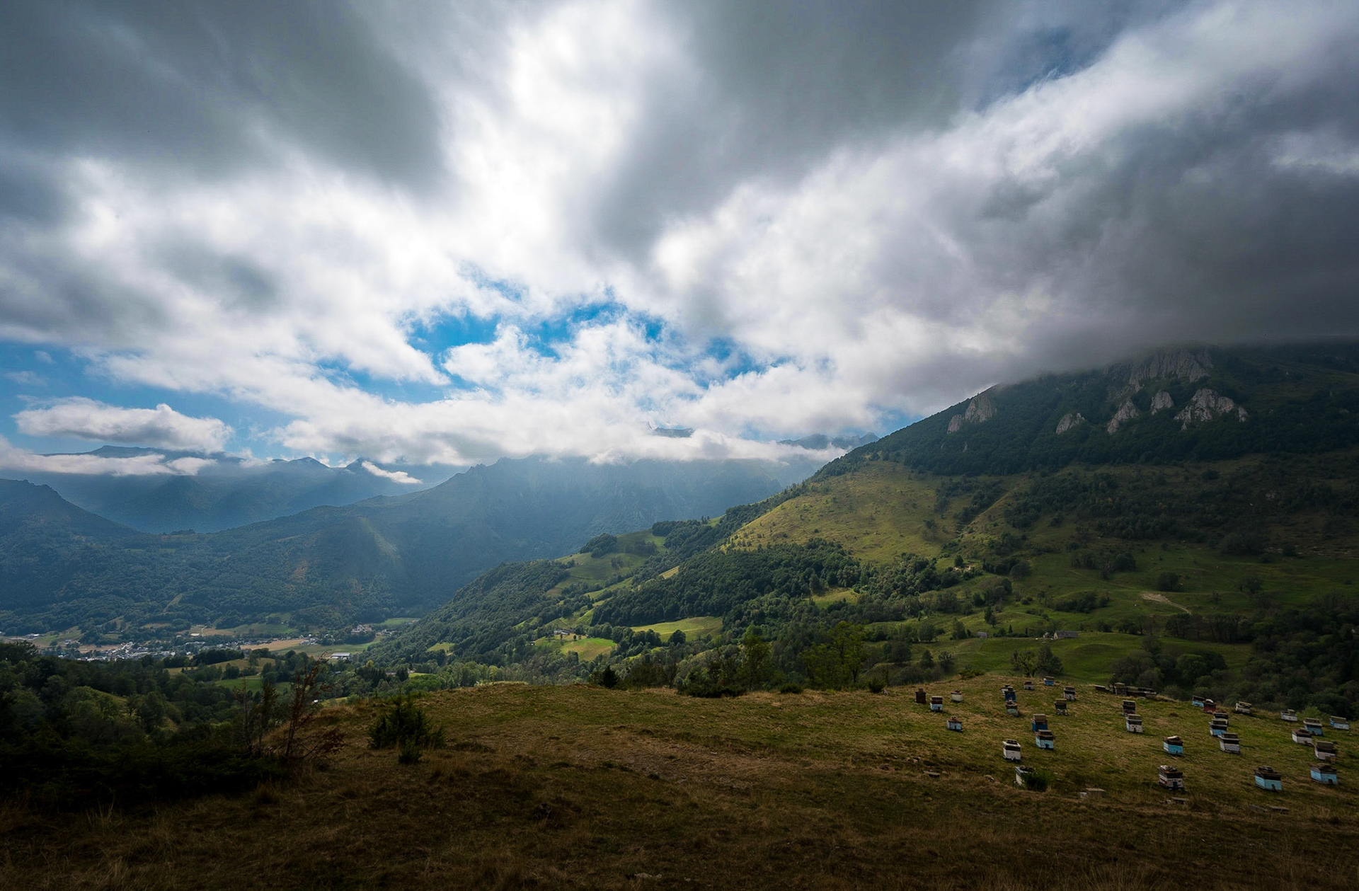 Pyrenees