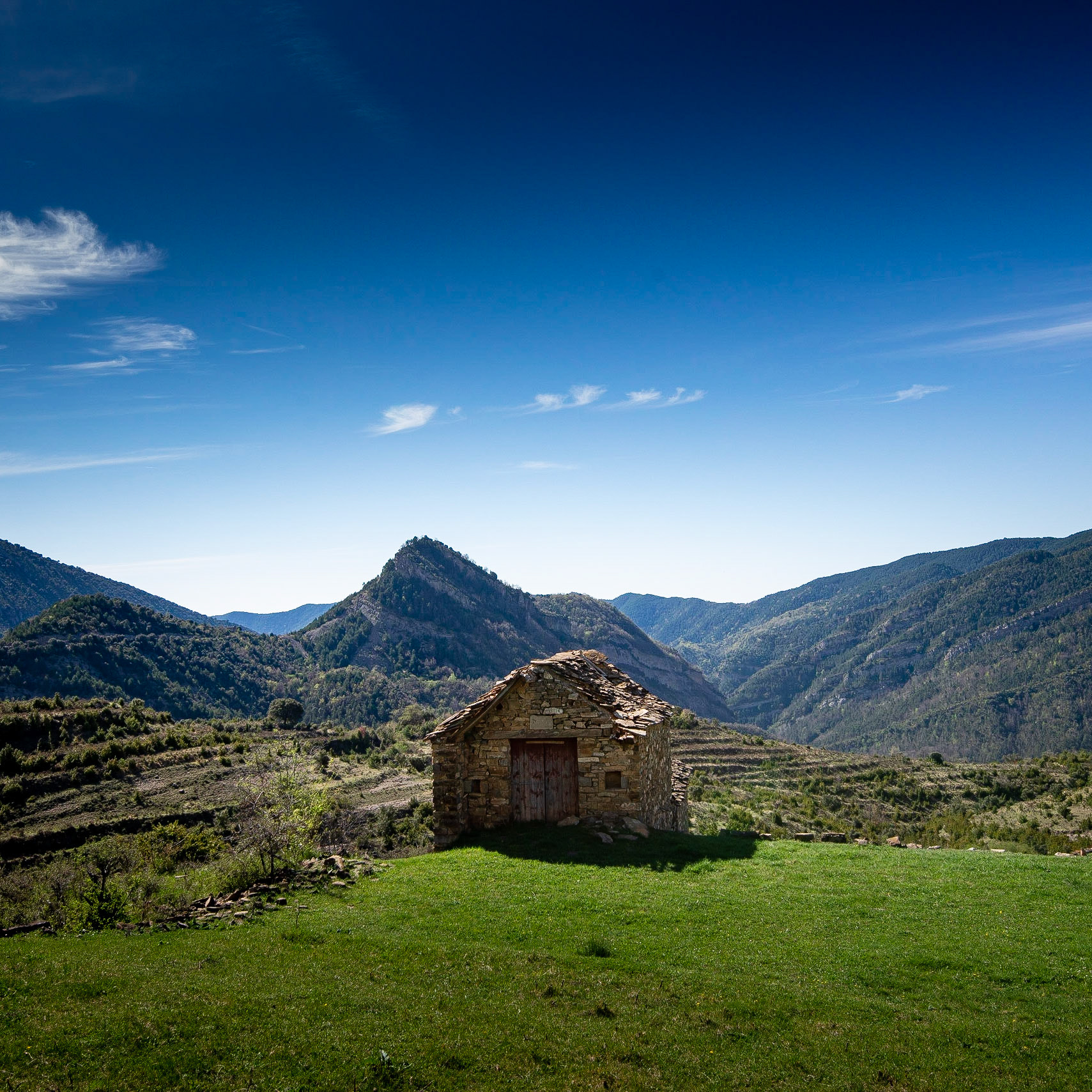Buerba