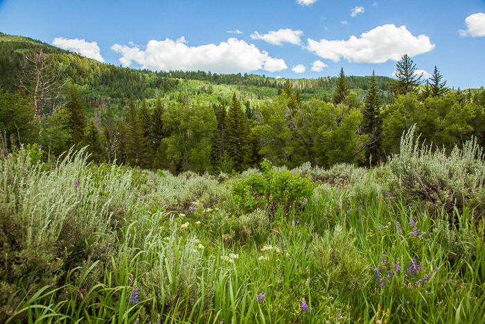 Steamboat Springs, CO11