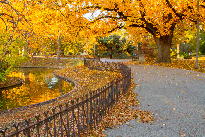 Lafayette Square Park, STL, MO3