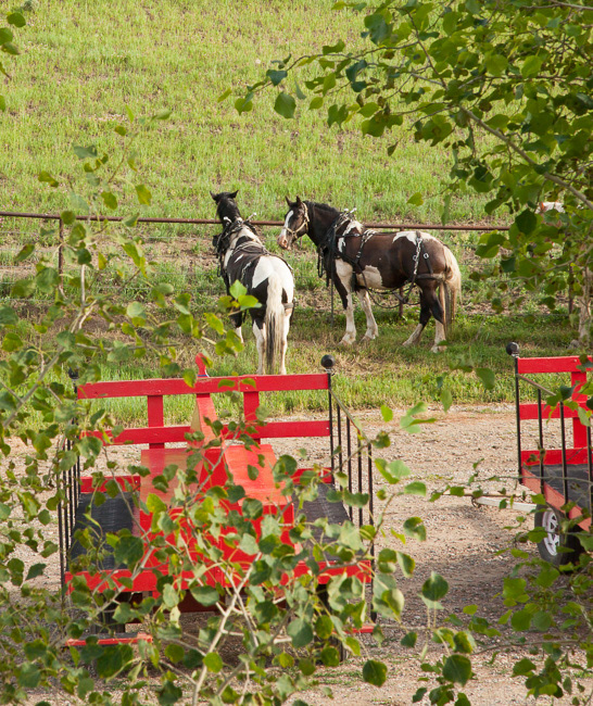 Steamboat Springs, CO15