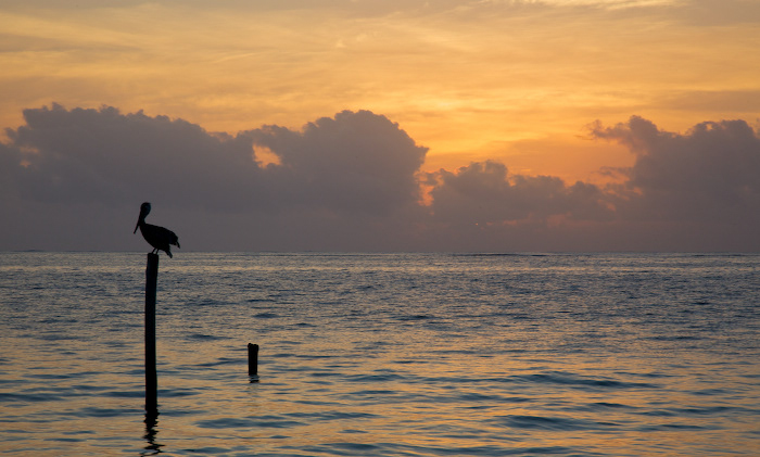 Playa del Carmen, Mexico3