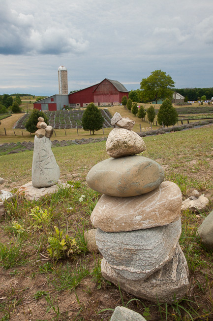 Lavender Hill Farm, MI