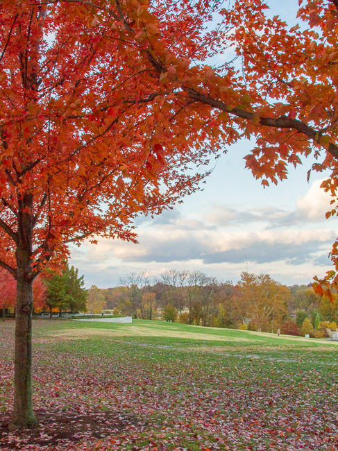 Forest Park, STL, MO8