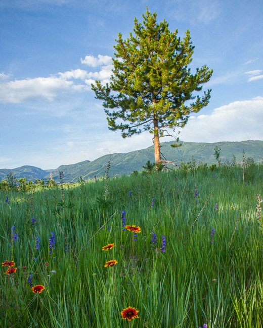 Steamboat Springs, CO14