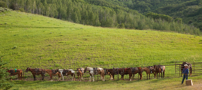 Steamboat Springs, CO3