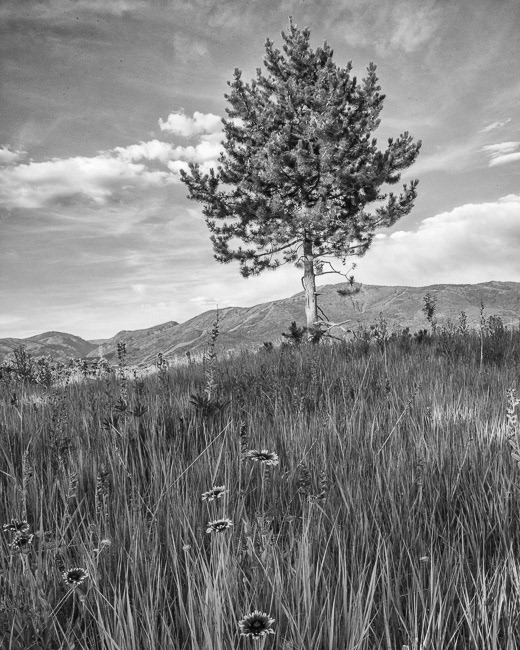 Steamboat Springs, CO14 bw