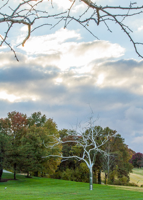 Forest Park, STL, MO7