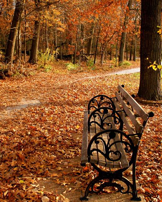 Forest Park, STL, MO8