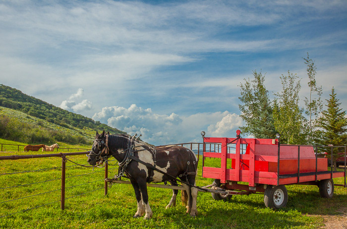 Steamboat Springs, CO2