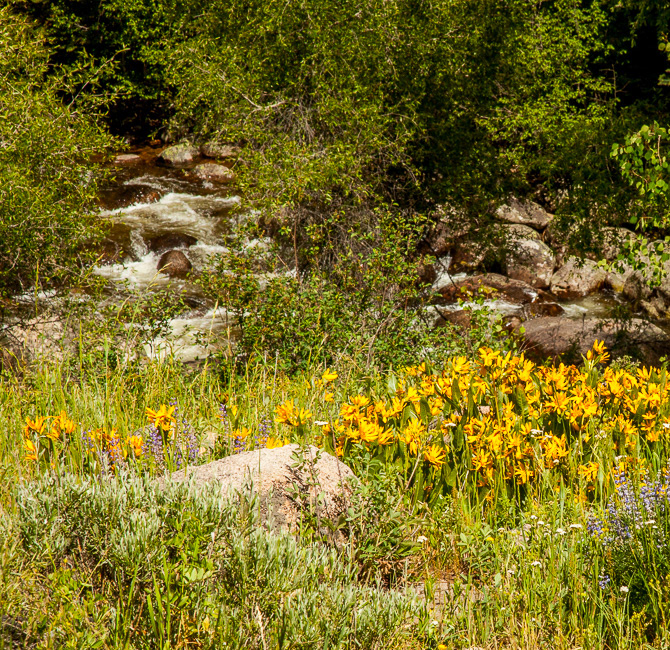 Steamboat Springs, CO13