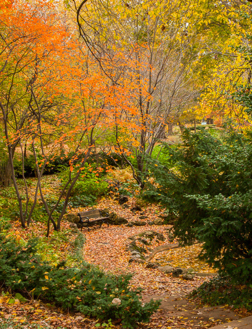 Lafayette Square Park, STL, MO7