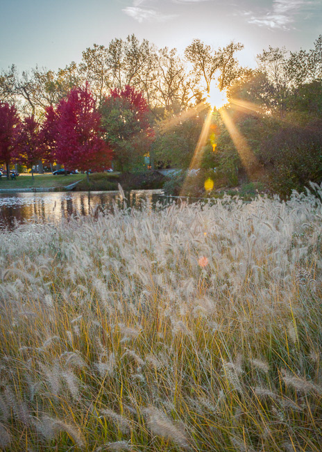 Forest Park, STL, MO3