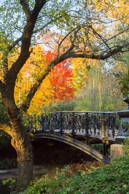 Lafayette Square Park, STL, MO5