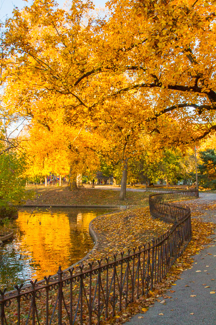 Lafayette Square Park, STL, MO4