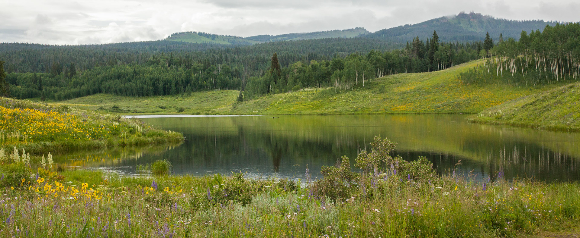 Steamboat Springs, CO6