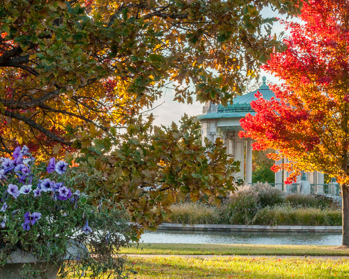Forest Park, STL, MO