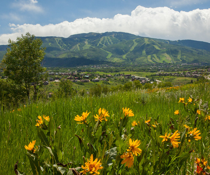 Steamboat Springs, CO7