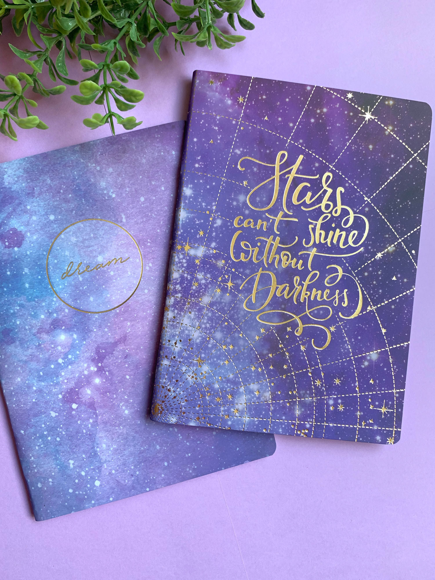Sun and Moon: Celestial Journal | Dot Grid Journal Diary Notebook, 8 x 10  | Sun and Moon Journal, Celestial Notebook, Capricorn Journal, Boho Diary