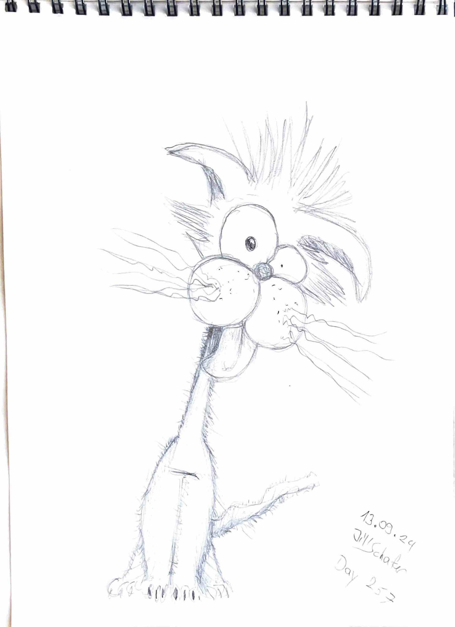 365 Zeichnungen - Drawing every day no matter what