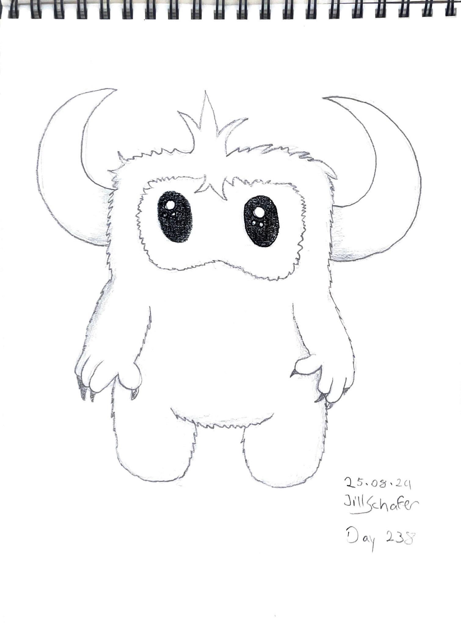 365 Zeichnungen - Drawing every day no matter what