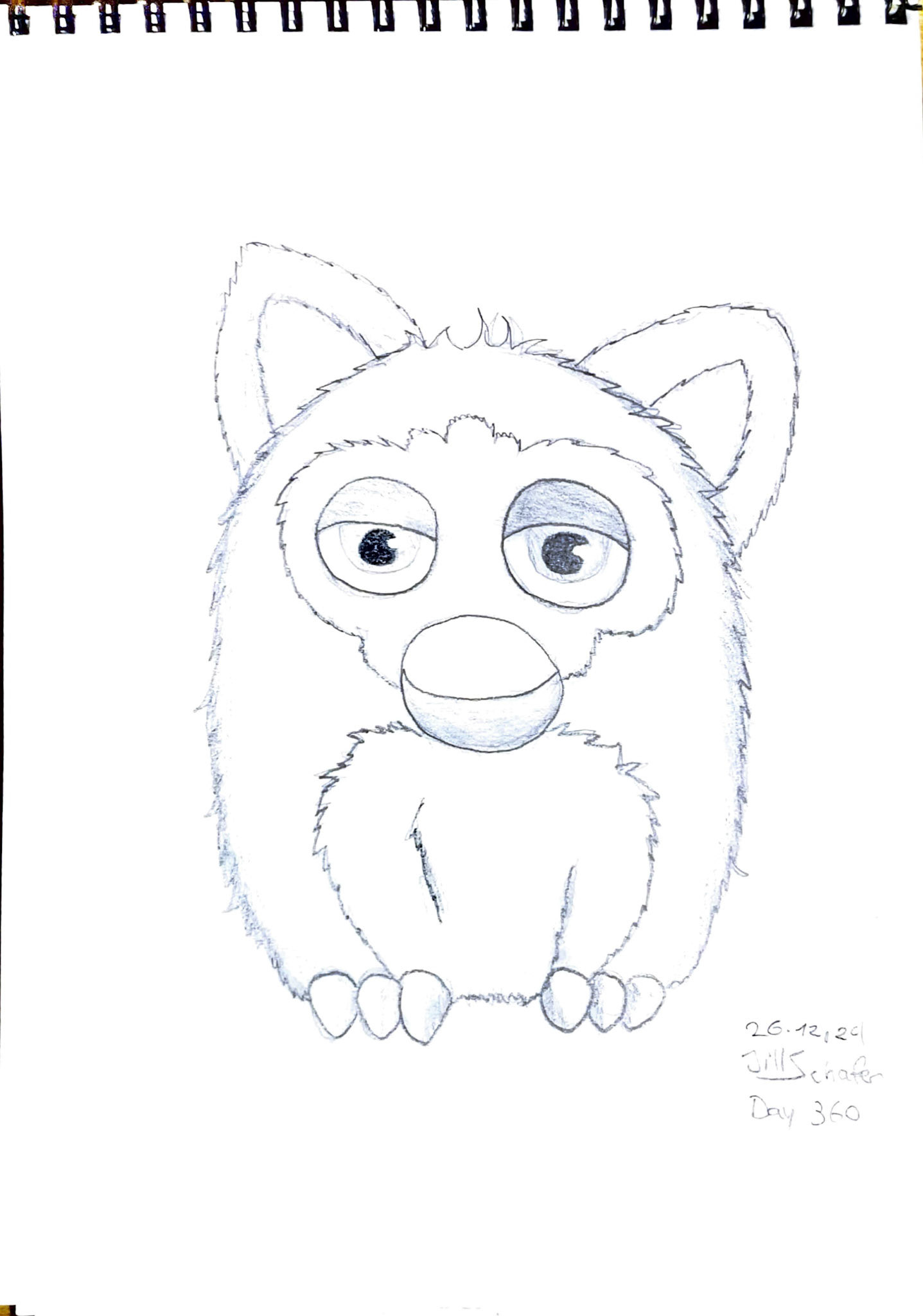 365 Zeichnungen - Drawing every day no matter what