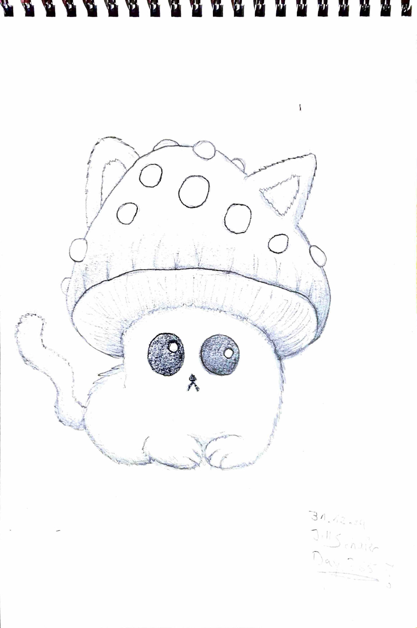365 Zeichnungen - Drawing every day no matter what