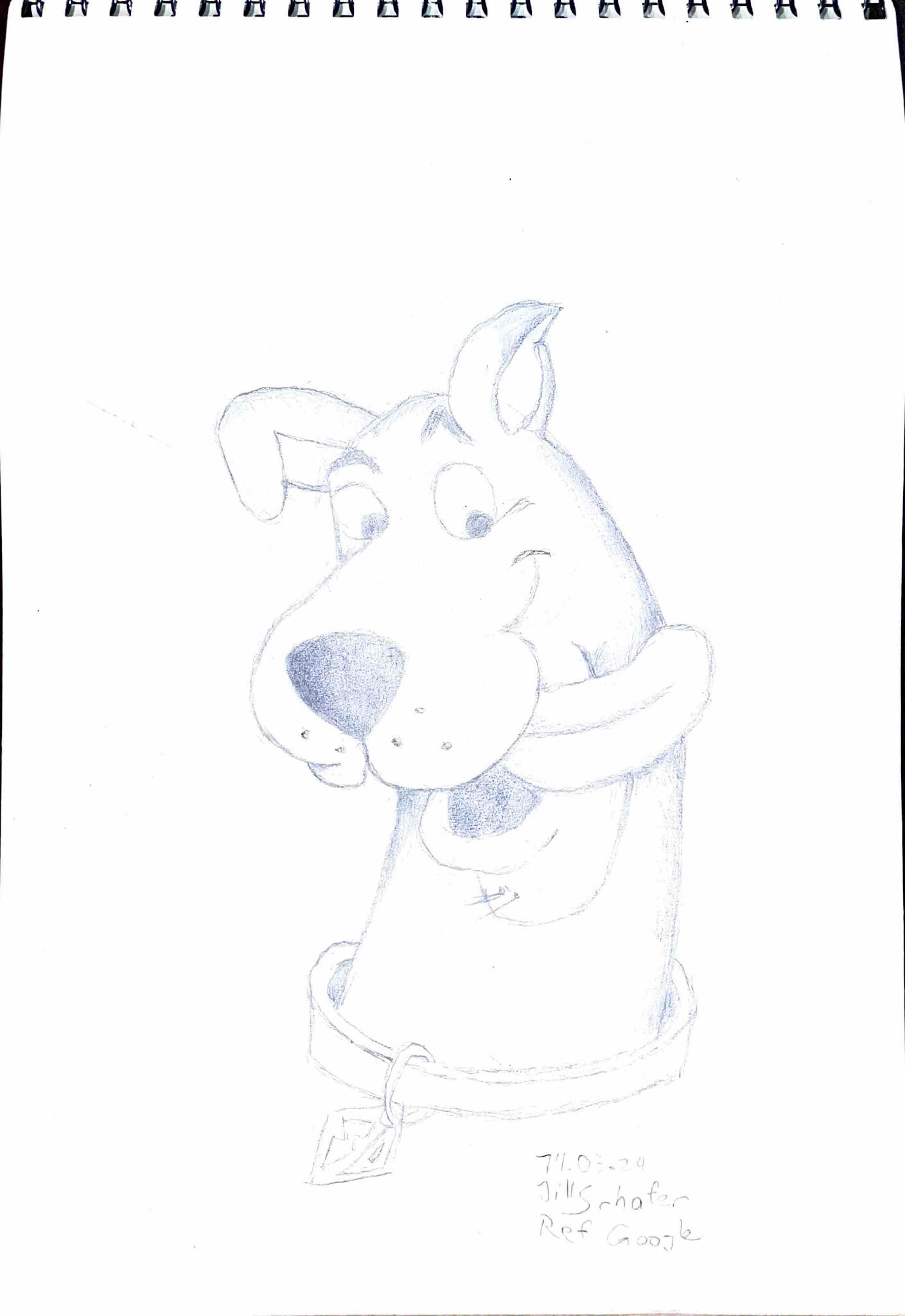 365 Zeichnungen - Drawing every day no matter what