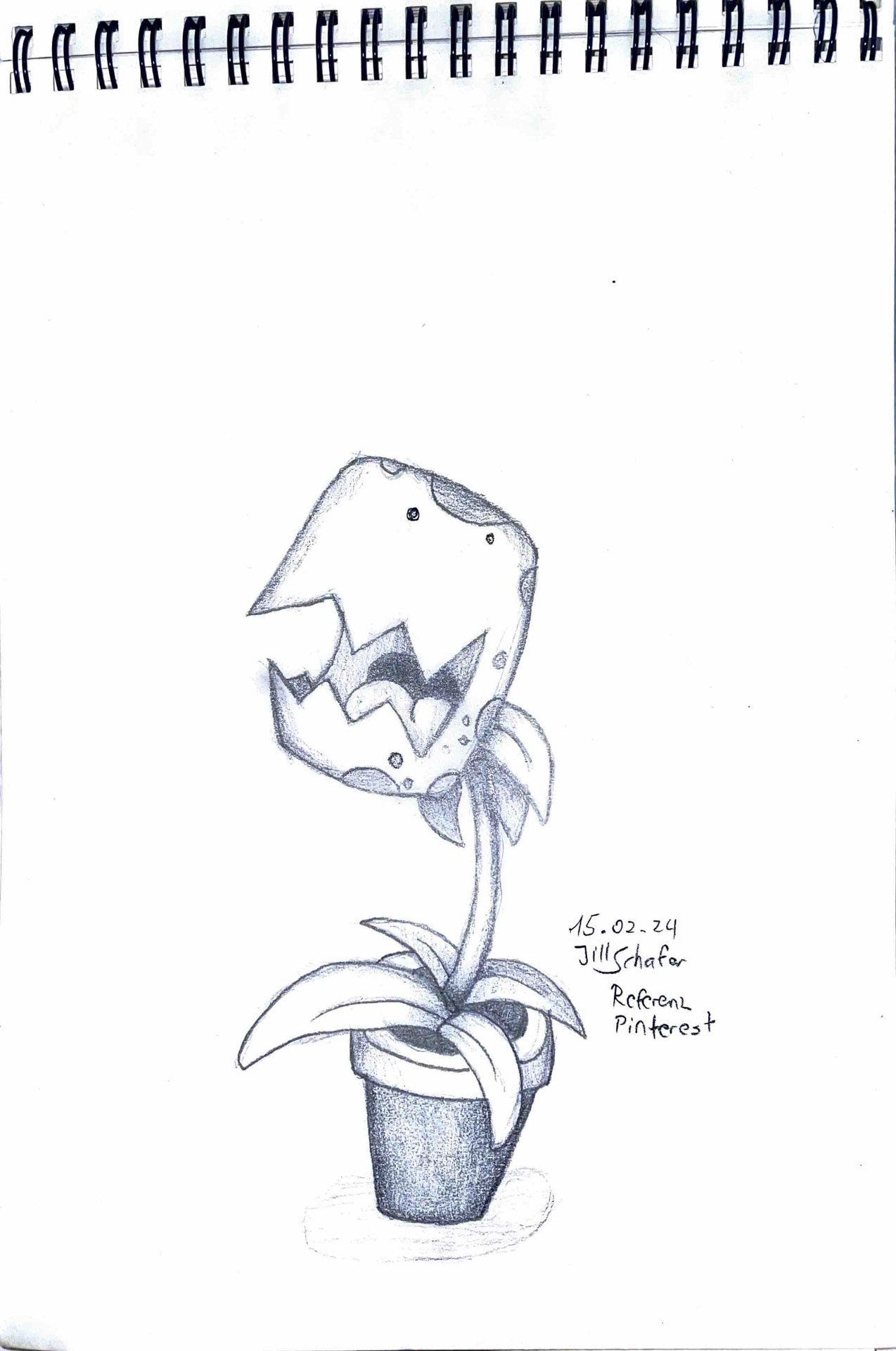 365 Zeichnungen - Drawing every day no matter what