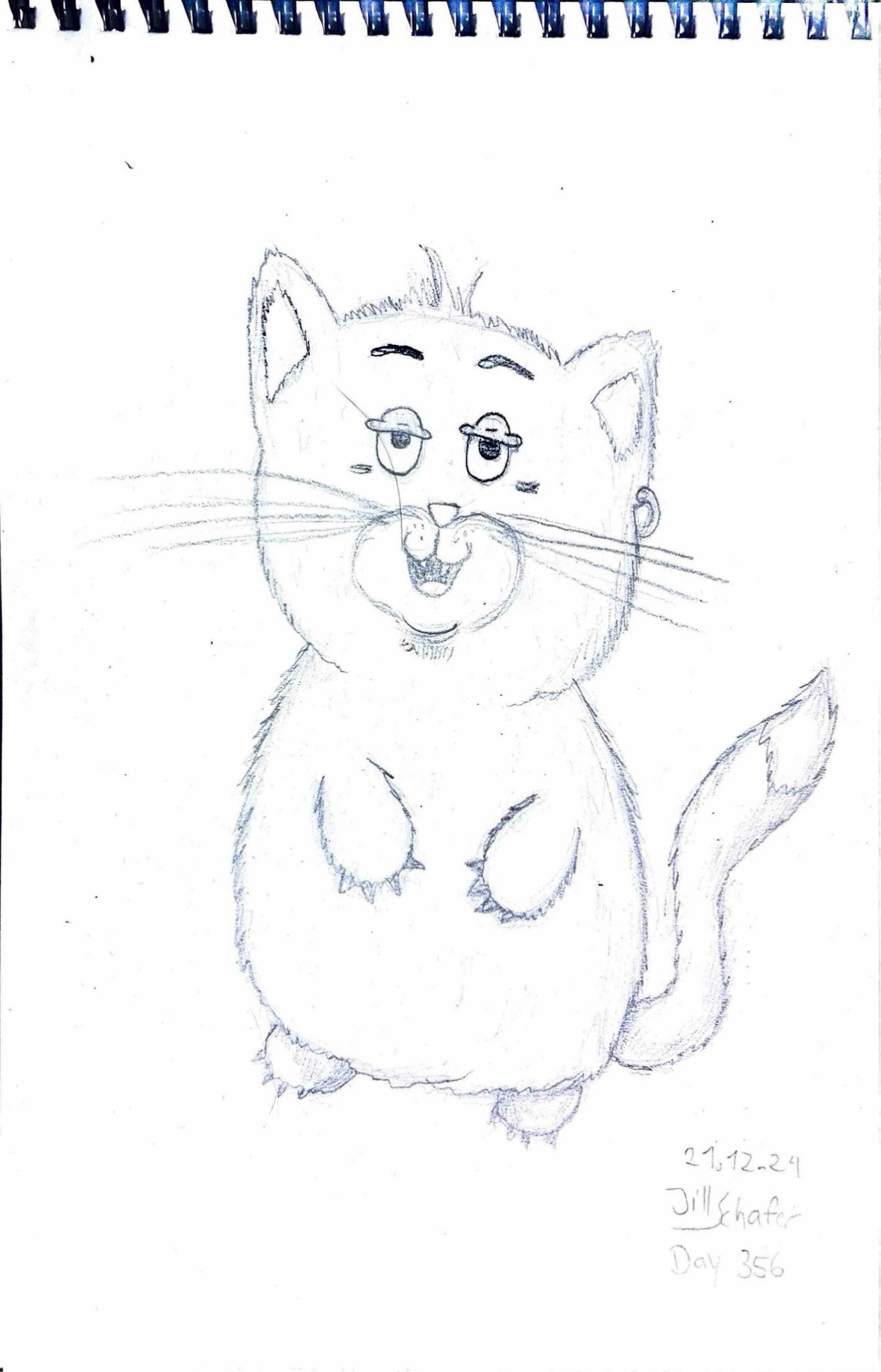 365 Zeichnungen - Drawing every day no matter what