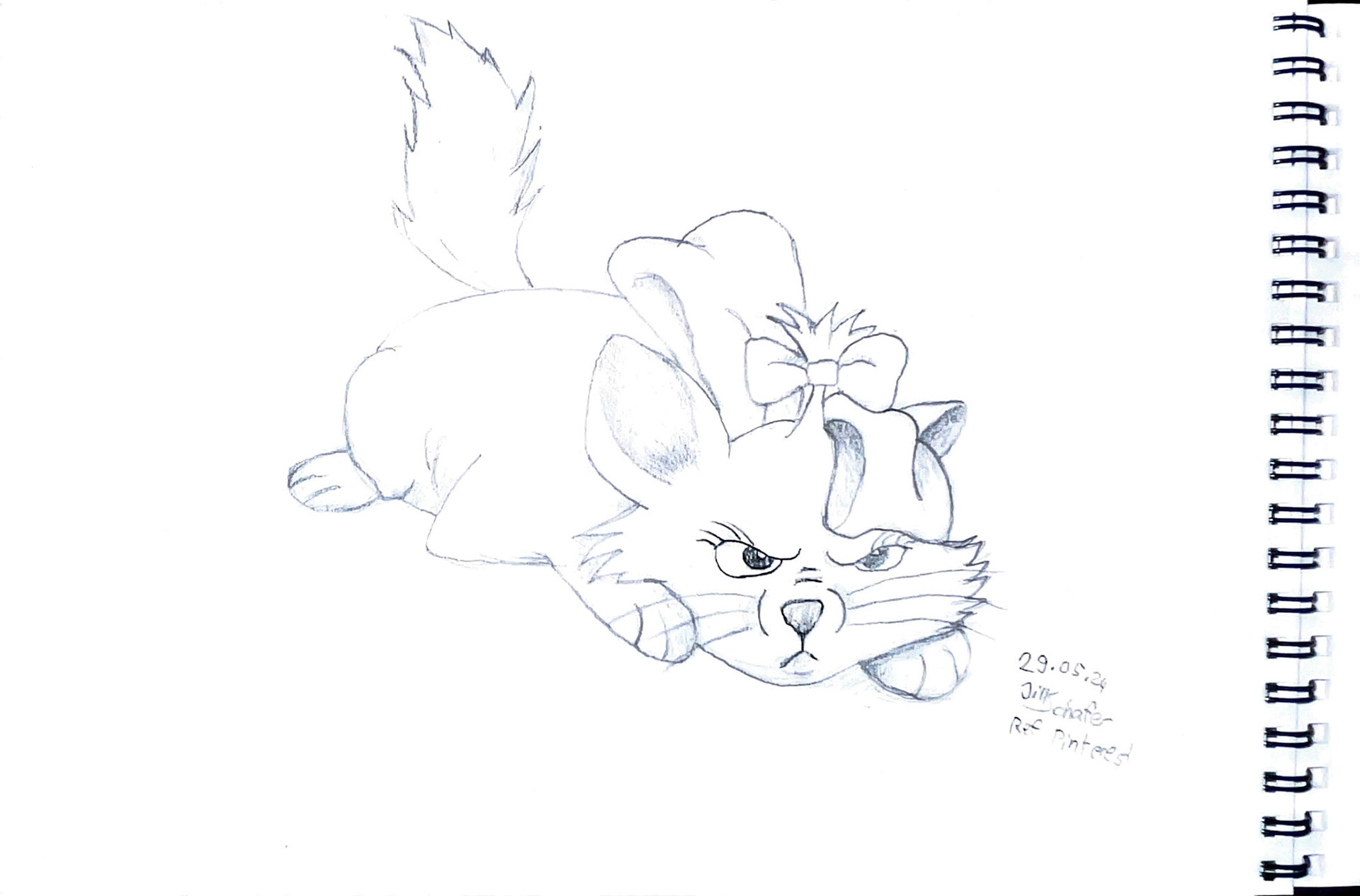 365 Zeichnungen - Drawing every day no matter what