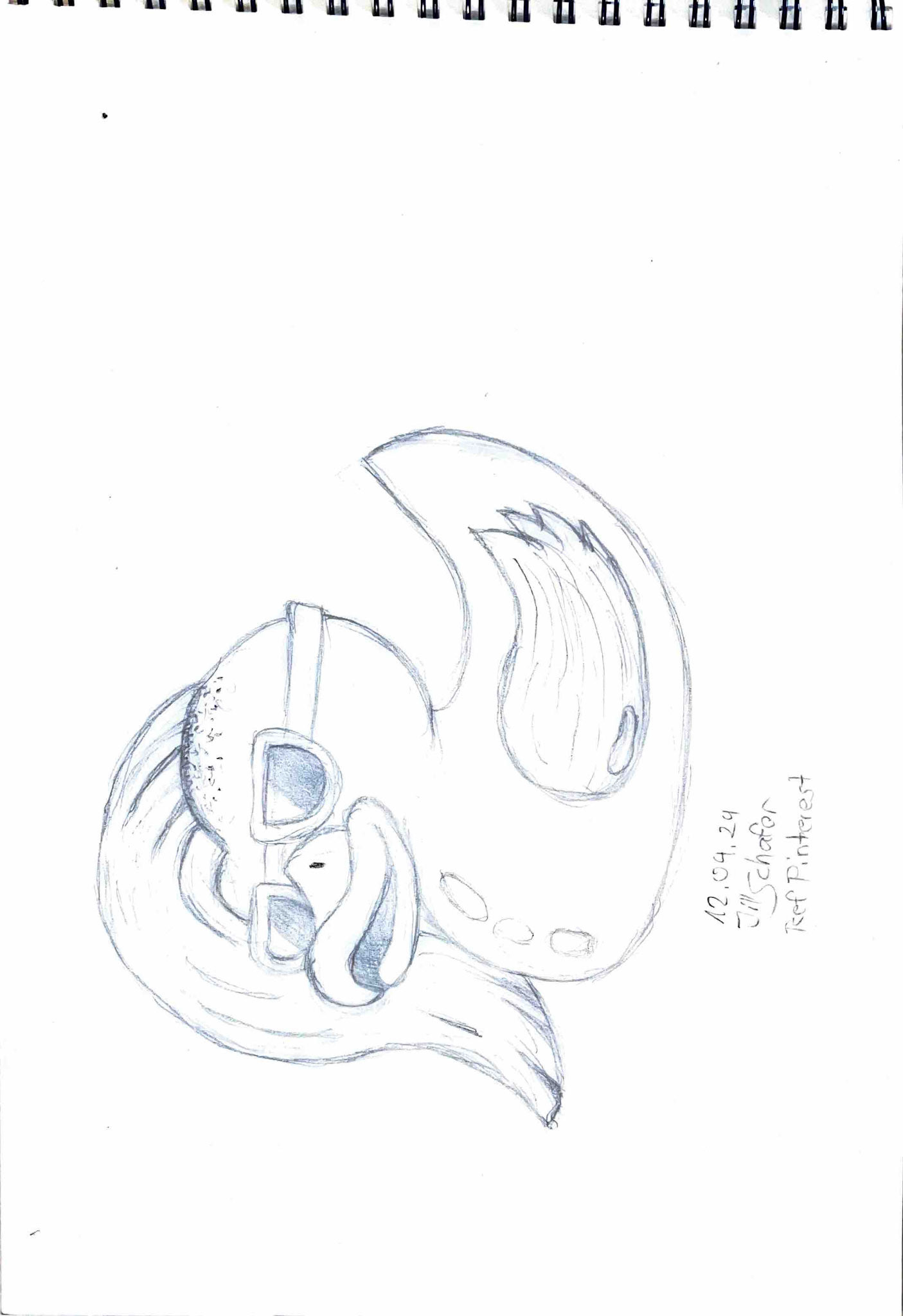 365 Zeichnungen - Drawing every day no matter what
