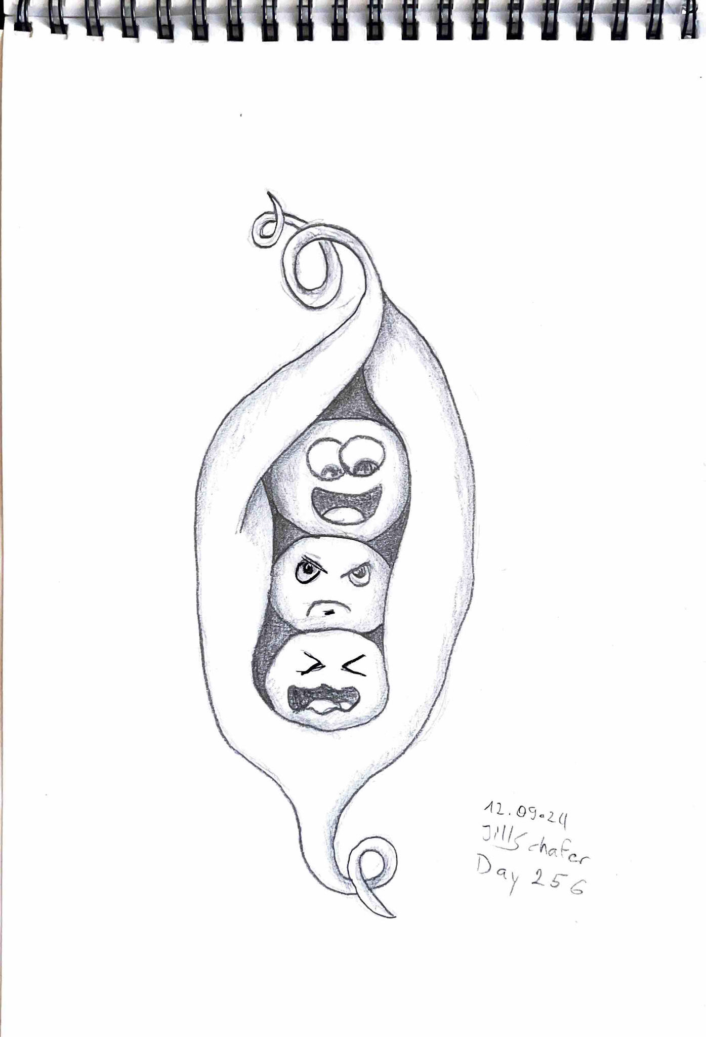 365 Zeichnungen - Drawing every day no matter what