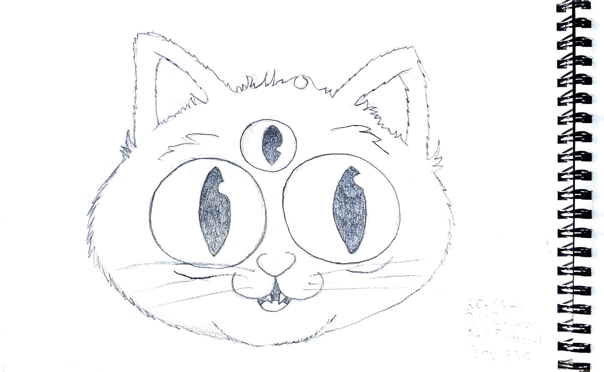 365 Zeichnungen - Drawing every day no matter what