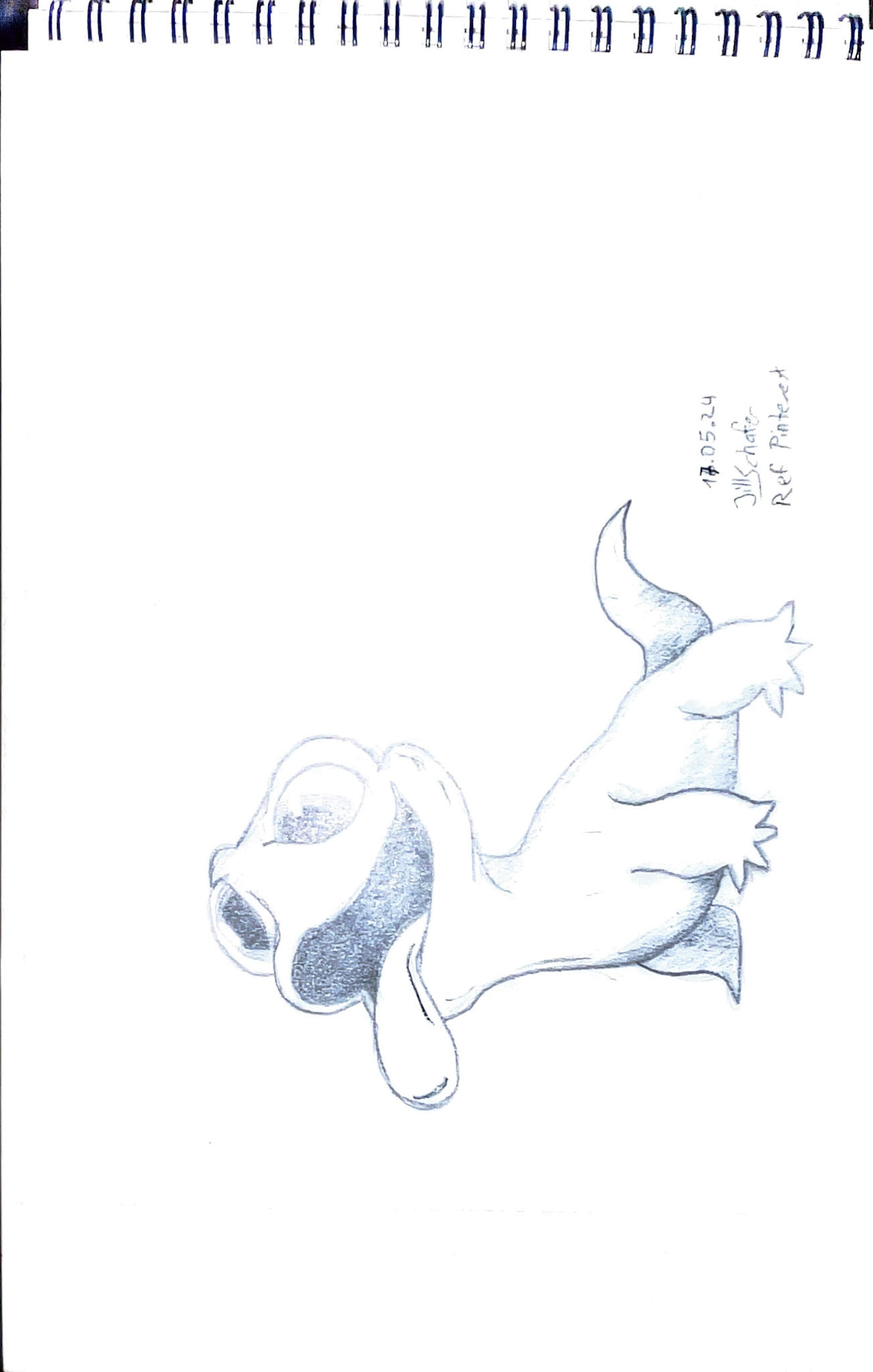 365 Zeichnungen - Drawing every day no matter what