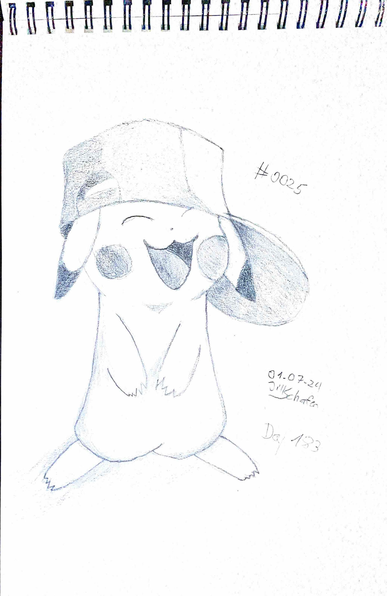 365 Zeichnungen - Drawing every day no matter what