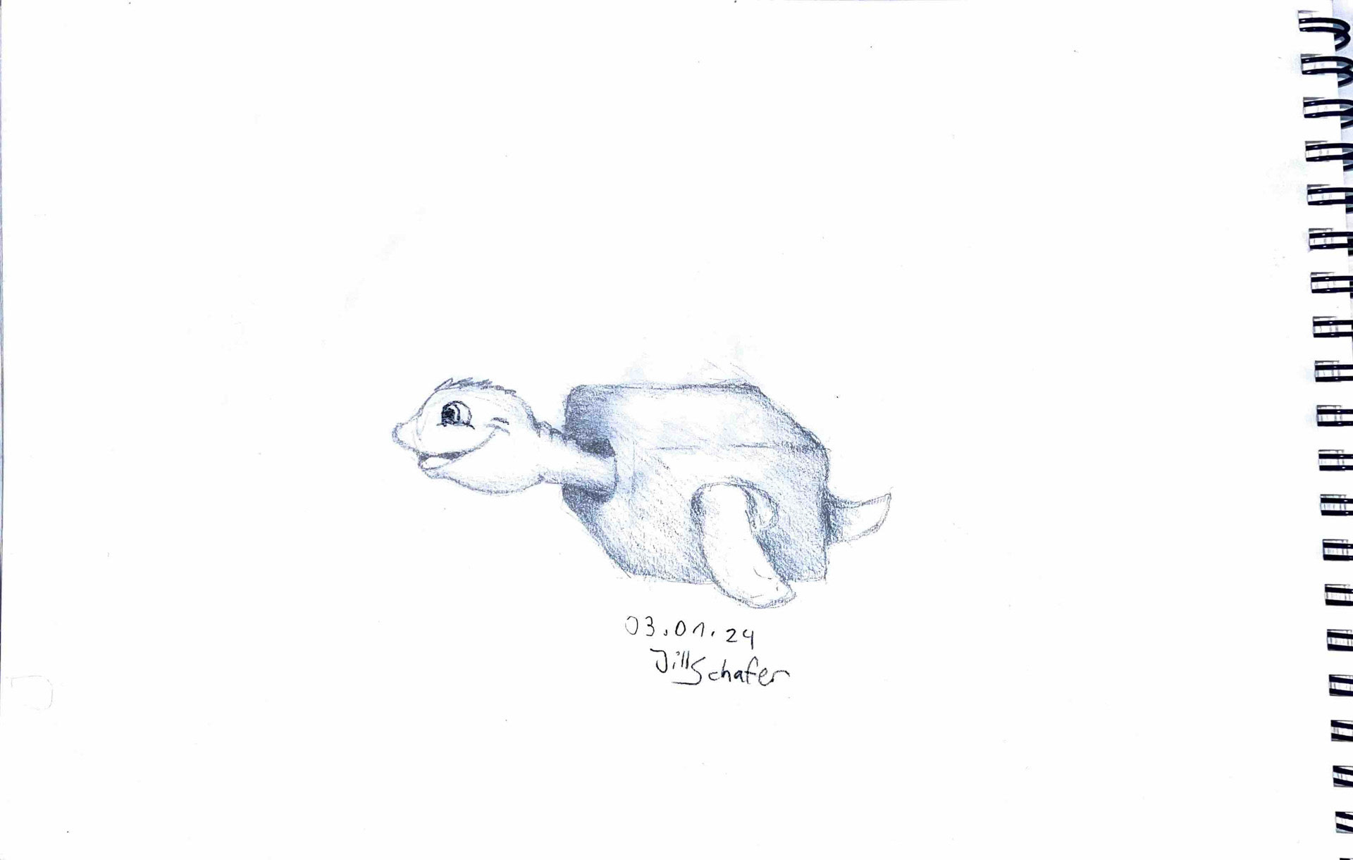 365 Zeichnungen - Drawing every day no matter what