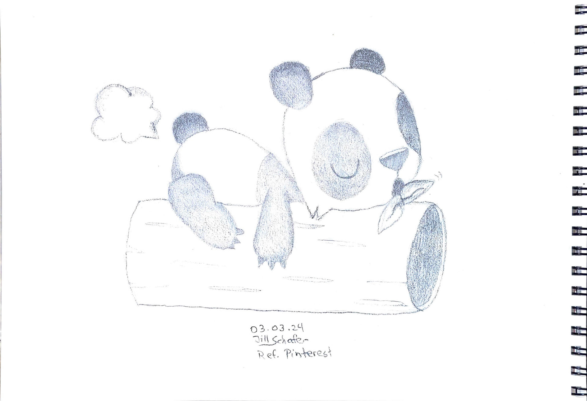 365 Zeichnungen - Drawing every day no matter what