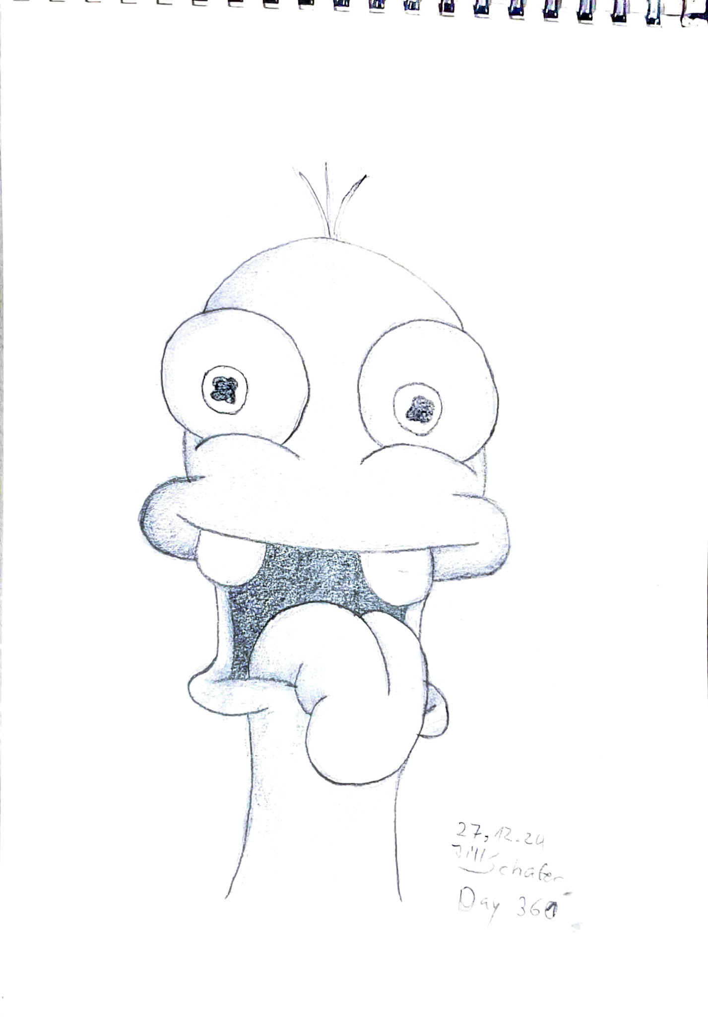 365 Zeichnungen - Drawing every day no matter what