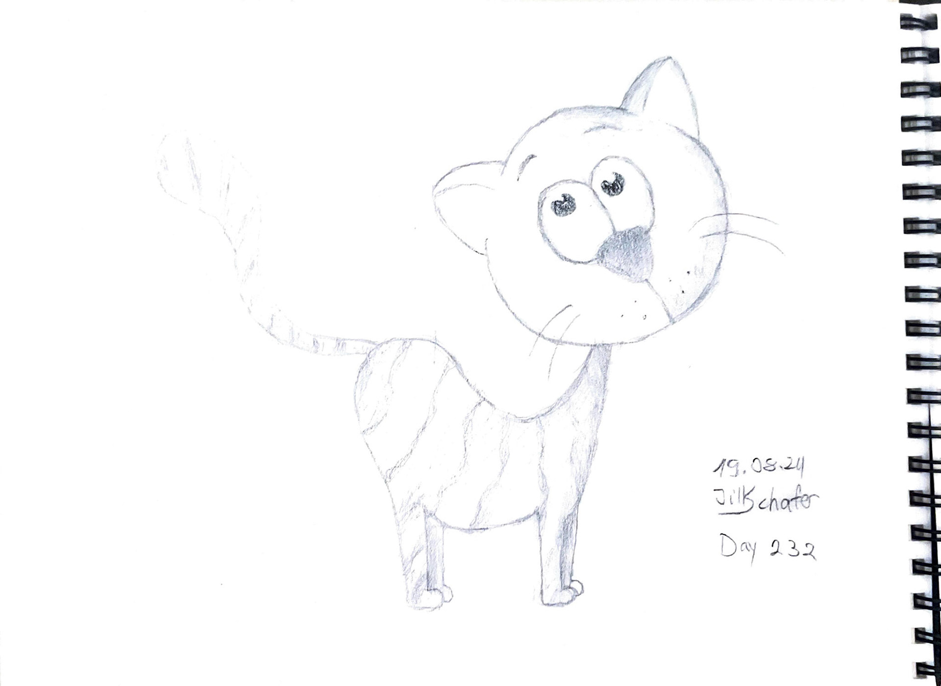 365 Zeichnungen - Drawing every day no matter what