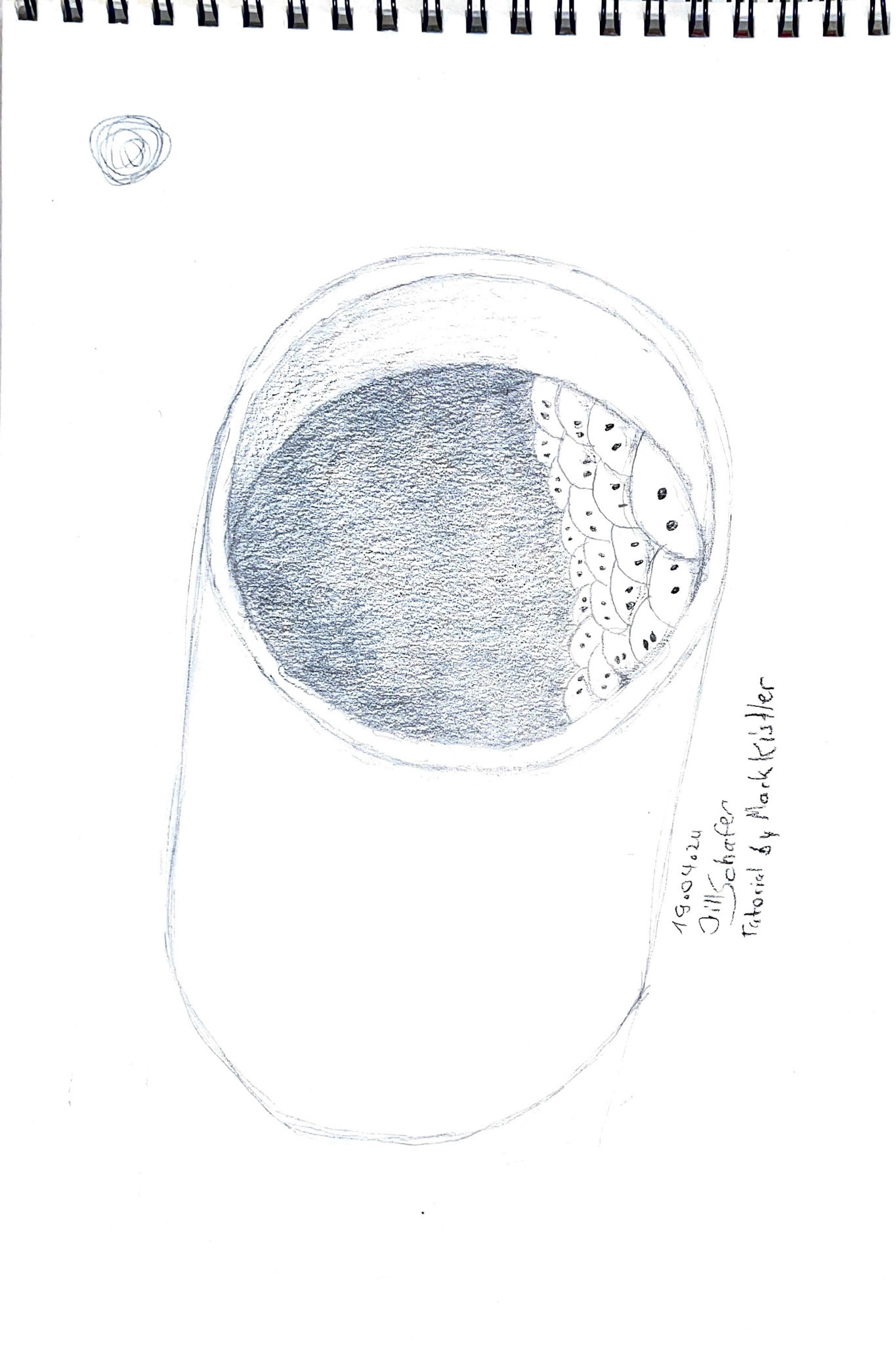 365 Zeichnungen - Drawing every day no matter what