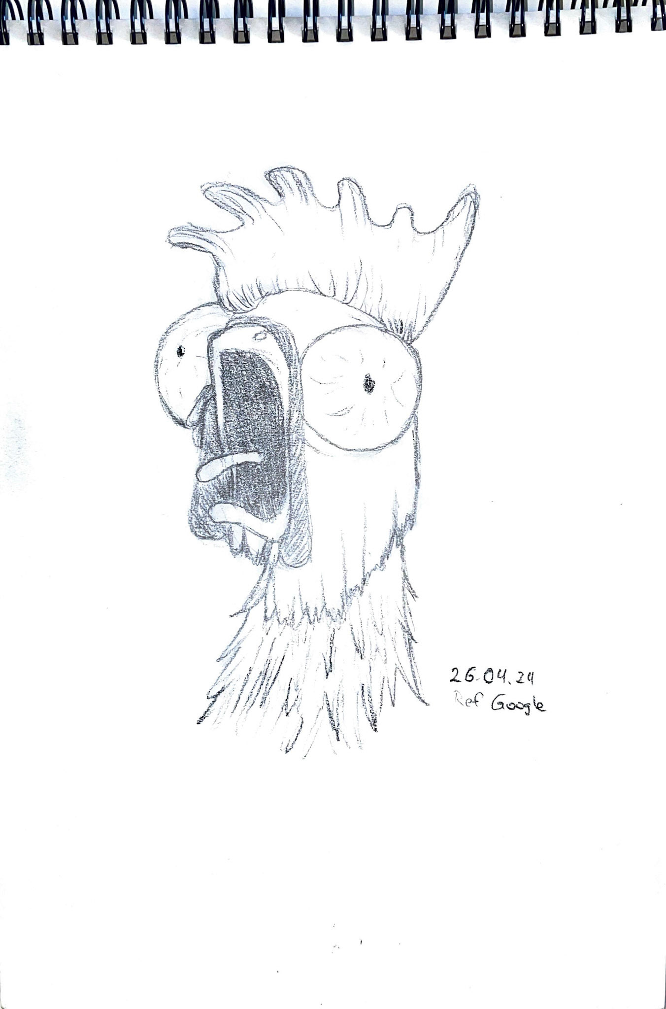 365 Zeichnungen - Drawing every day no matter what