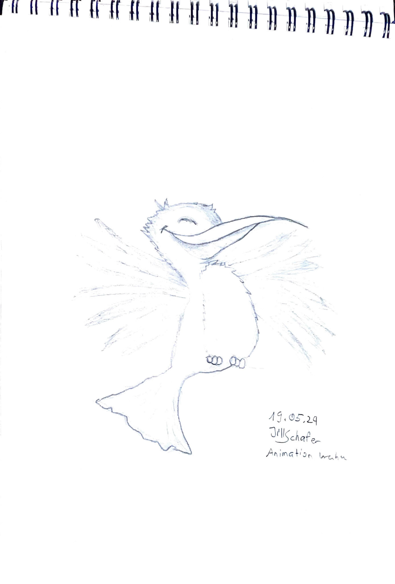 365 Zeichnungen - Drawing every day no matter what