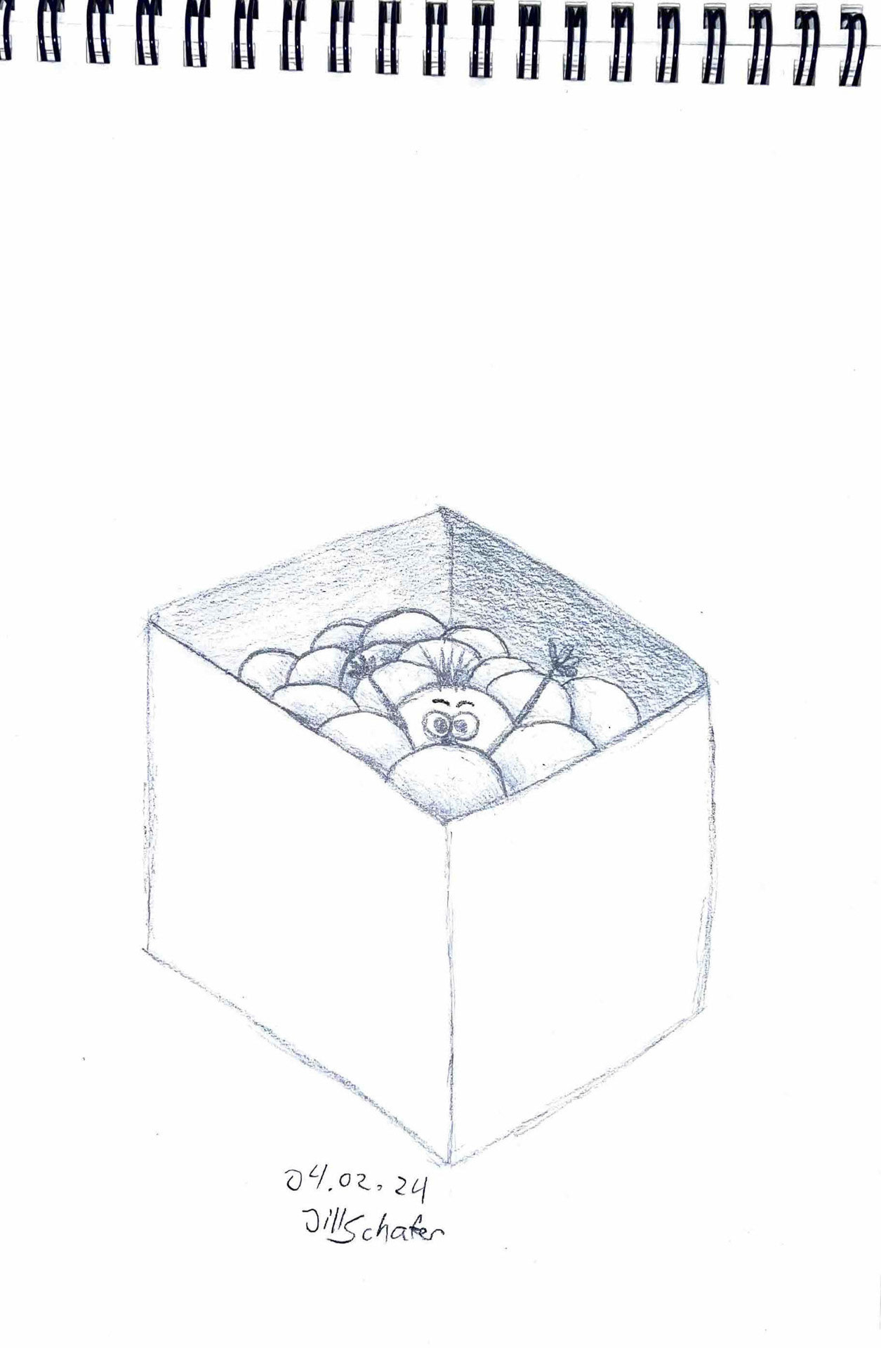 365 Zeichnungen - Drawing every day no matter what