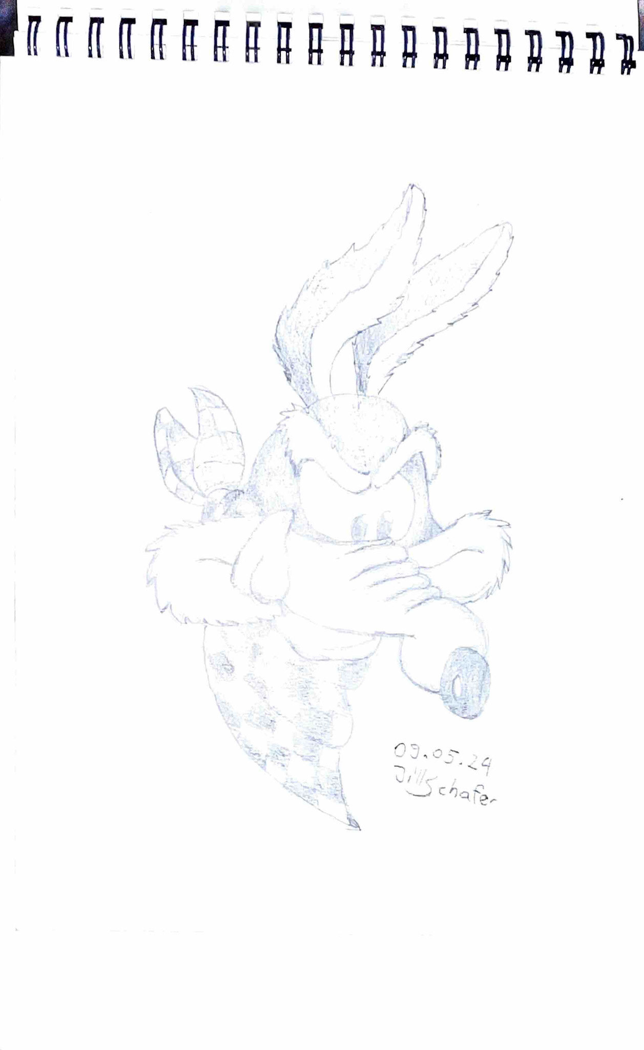 365 Zeichnungen - Drawing every day no matter what